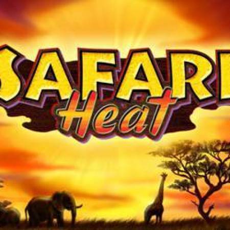 Safari Heat Slot Safari Heat Slot