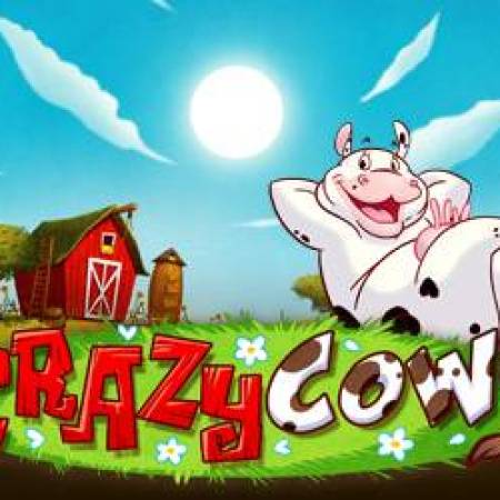 Crazy Cows Slot Crazy Cows Slot