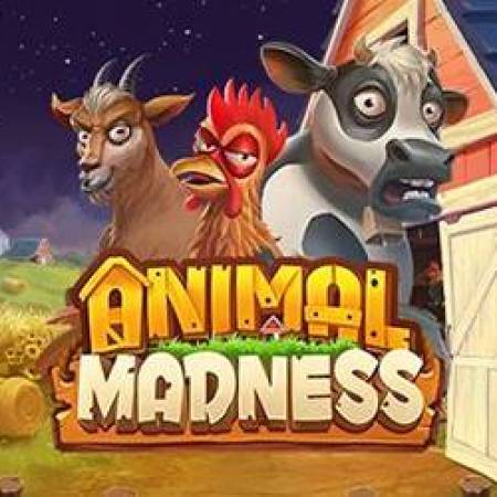 Animal Madness Slot Animal Madness Slot