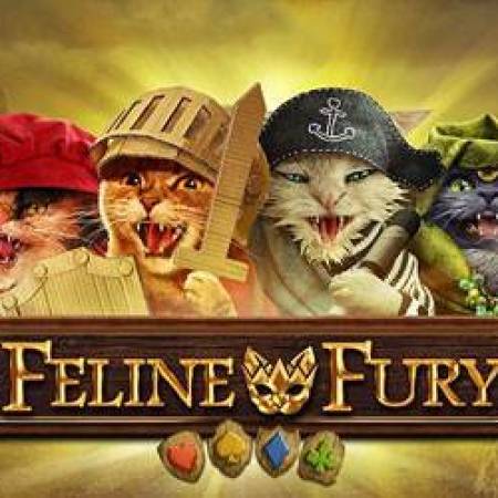 Feline Fury Slot Feline Fury Slot