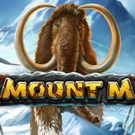 Mount M Slot Mount M Slot