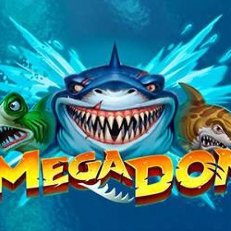 Mega Don Slot Mega Don Slot