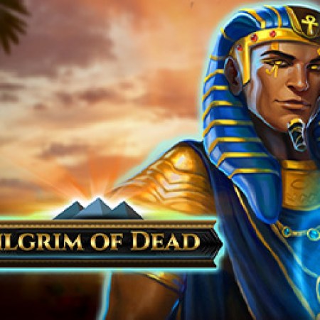 Pilgrim of Dead Slot Pilgrim of Dead Slot