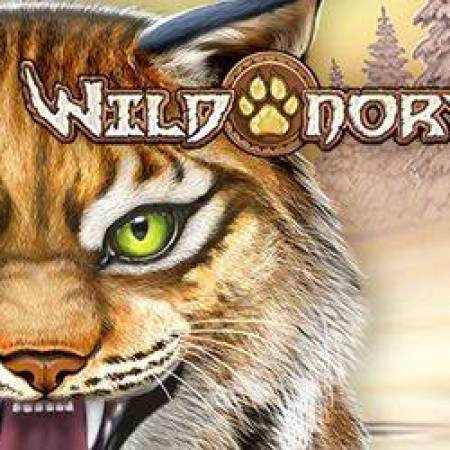 Wild North Slot Wild North Slot