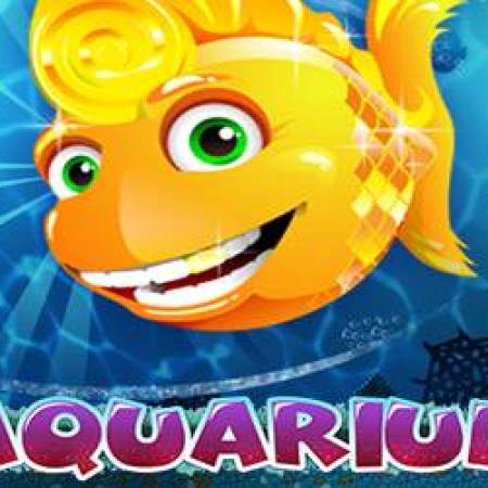 Aquarium Slot Aquarium Slot
