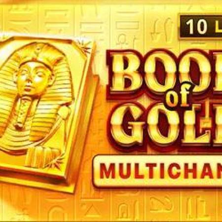 Book of Gold Multichance Slot Book of Gold Multichance Slot