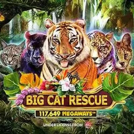 Big Cat Rescue Megaways Big Cat Rescue Megaways