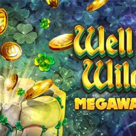 Well of Wilds Megaways Well of Wilds Megaways