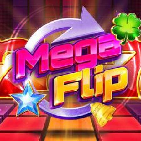 Mega Flip Slot Mega Flip Slot