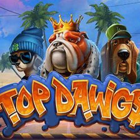 Top dawg$ Slot Top dawg$ Slot