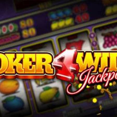 Joker4wild Slot Joker4wild Slot