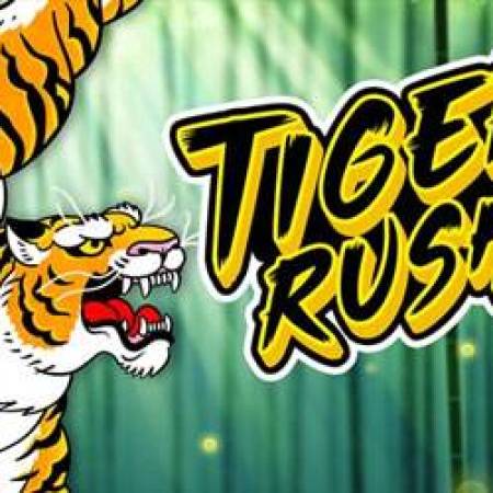 Tiger Rush Slot Tiger Rush Slot