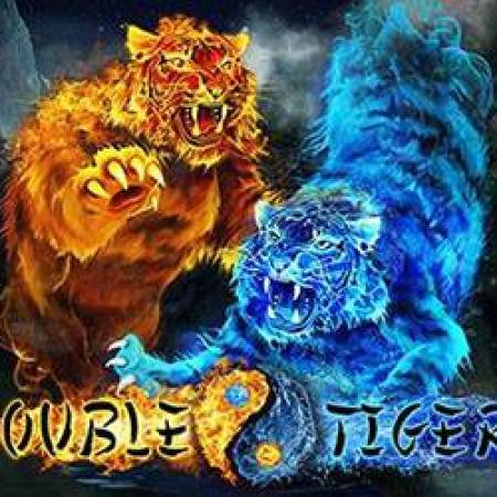 Double Tigers Slot Double Tigers Slot