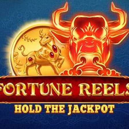 Fortune Reels Slot Fortune Reels Slot