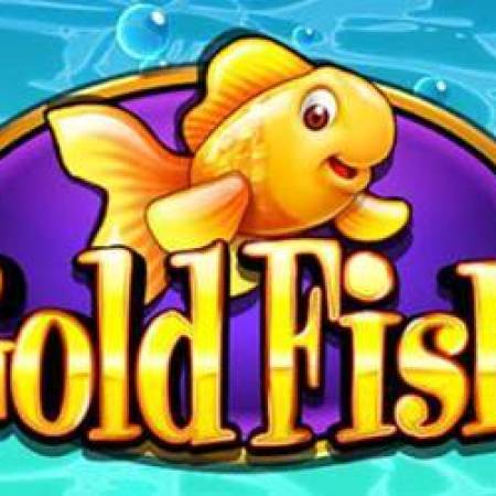 Gold Fish Slot Gold Fish Slot