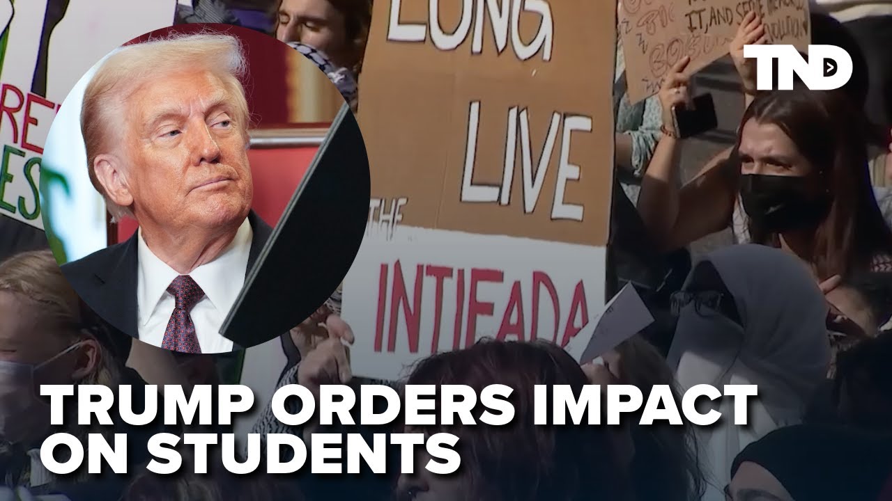 Trump govt orders anticipated to affect faculty college students: DEI and international visas Trump govt orders anticipated to affect faculty college students: DEI and international visas