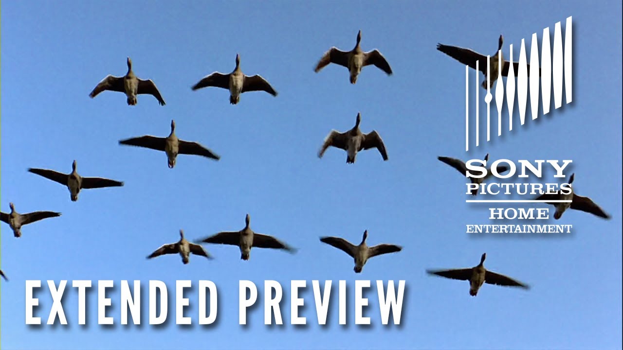 WINGED MIGRATION – Extended Preview – Now on Digital WINGED MIGRATION – Extended Preview – Now on Digital
