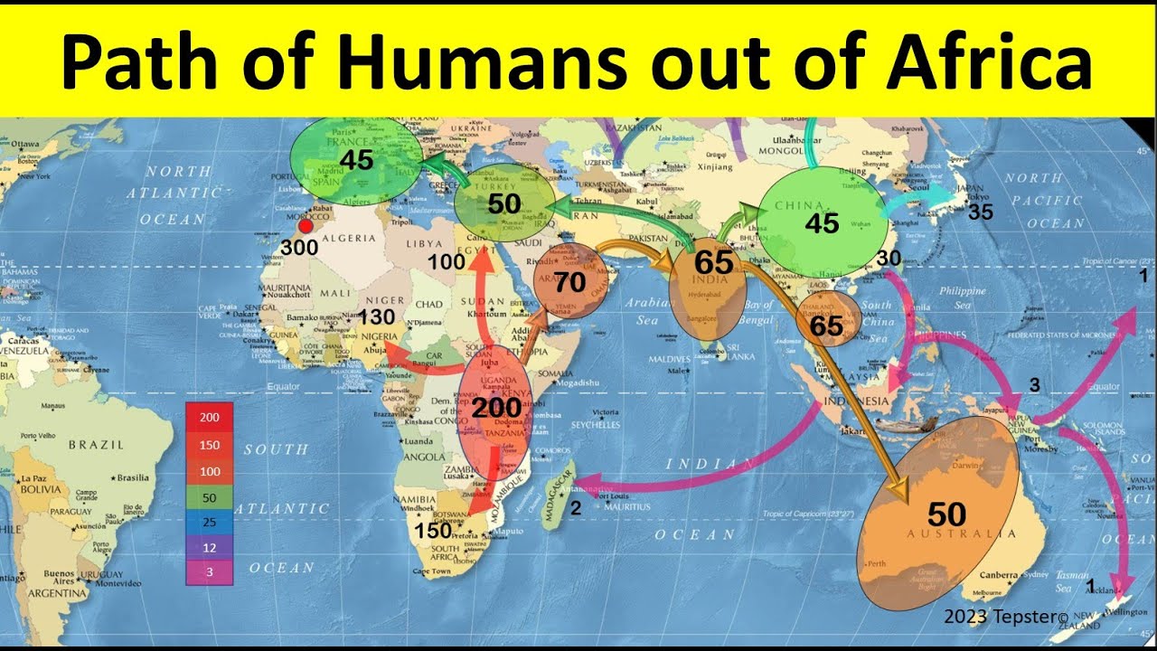 Map of Human Migration out of Africa Map of Human Migration out of Africa
