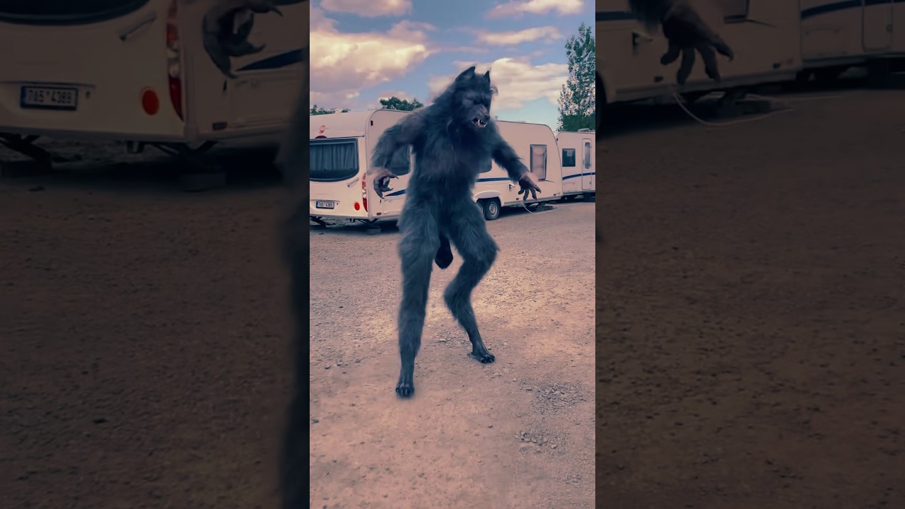 Animal Migration Journeys! #animaljourney #amazingtransformation #animals #animalgrowth #wildlife Animal Migration Journeys! #animaljourney #amazingtransformation #animals #animalgrowth #wildlife