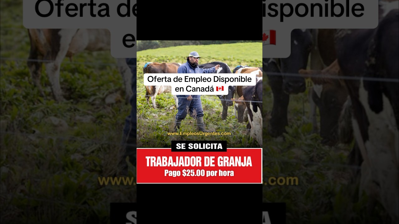 Trabajadores de Granja Lechera #jobs #trabajo #canada #canadajobs #farm #dairyfarm #empleo #staff Trabajadores de Granja Lechera #jobs #trabajo #canada #canadajobs #farm #dairyfarm #empleo #staff