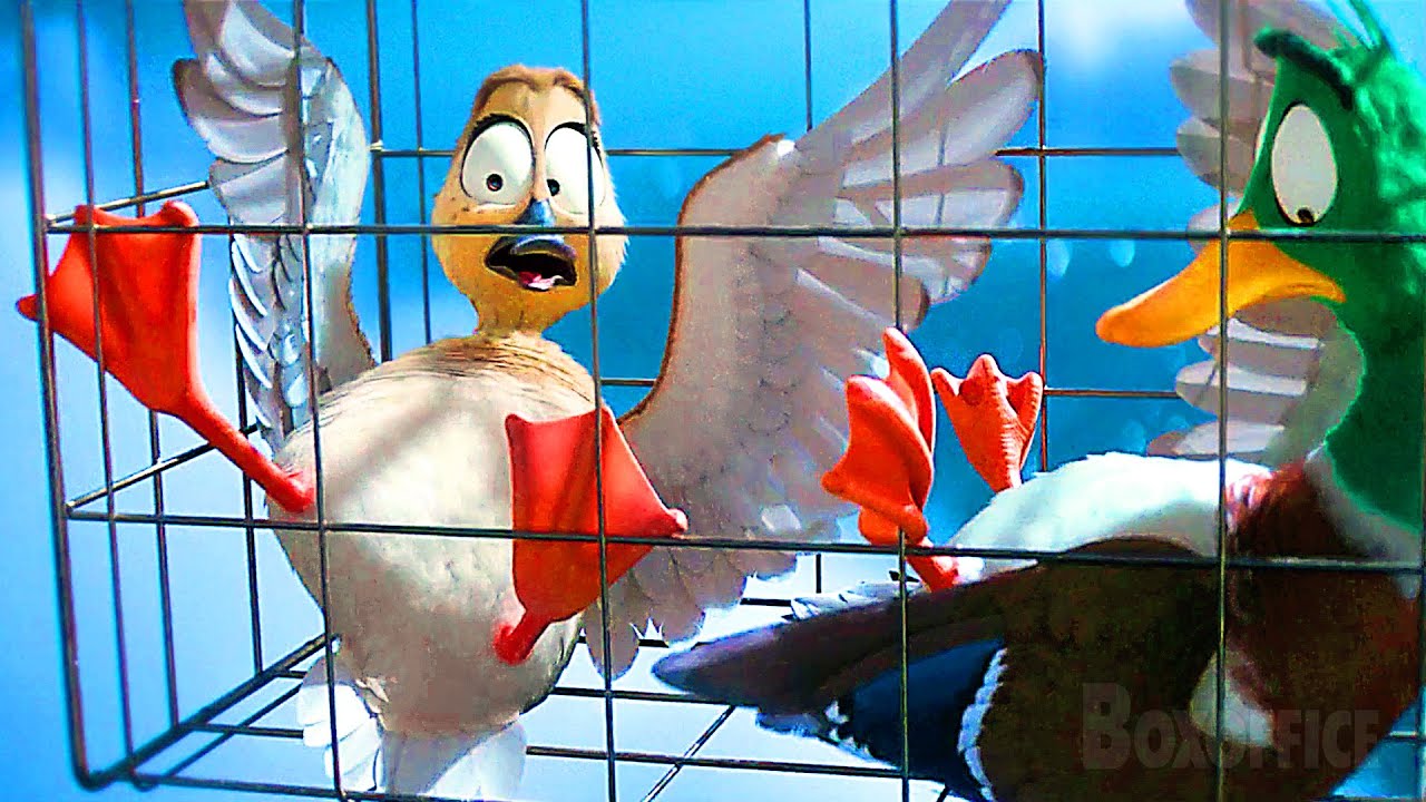 Dancing Ducks Escape from Jail | Migration | CLIP Dancing Ducks Escape from Jail | Migration | CLIP