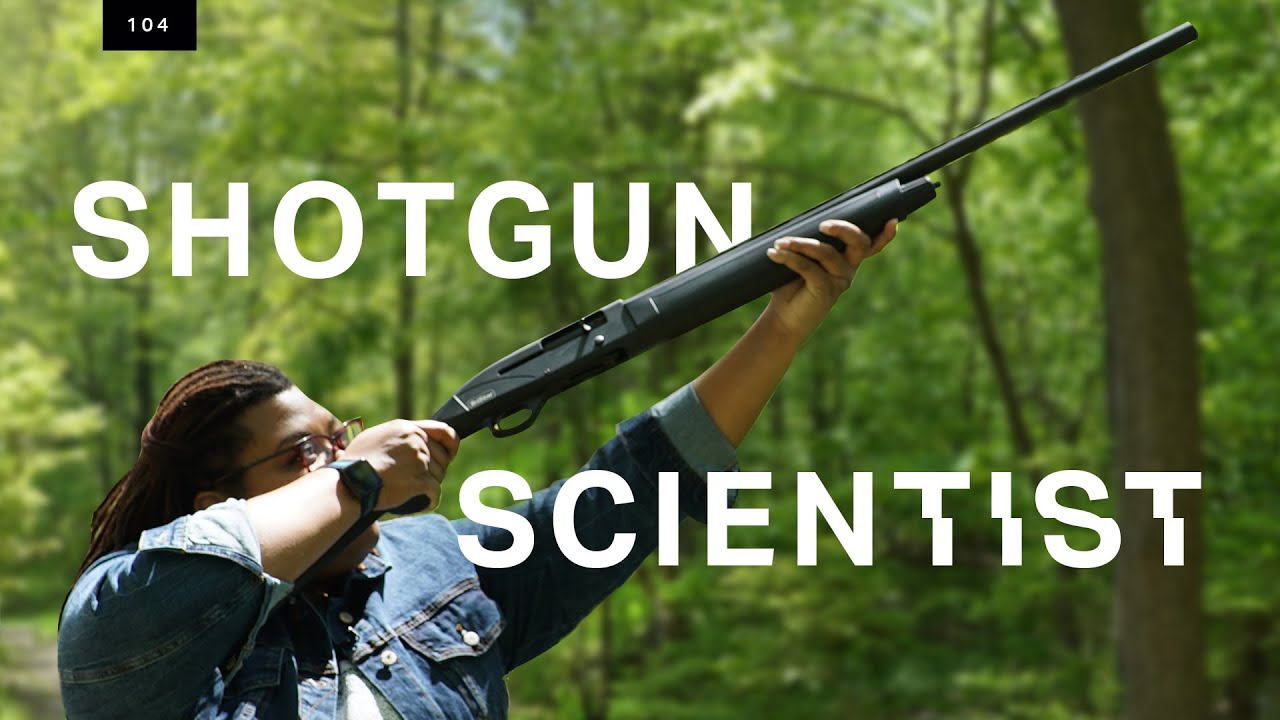 Trees migrate. This scientist shoots them to grasp how Trees migrate. This scientist shoots them to grasp how