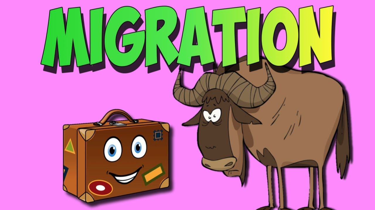 Migration Song- Animal Migrations Migration Song- Animal Migrations