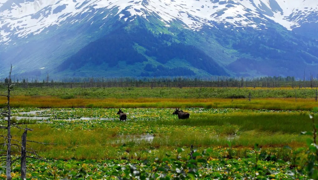 El gobierno de EE. UU. Spare una reacción violenta a medida que se mueve hacia el proyecto de carretera de Greenlight larga y controvertida: ‘Entendemos las necesidades’ El gobierno de EE. UU. Spare una reacción violenta a medida que se mueve hacia el proyecto de carretera de Greenlight larga y controvertida: ‘Entendemos las necesidades’
