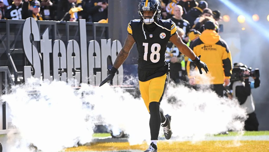 Ex Steelers WR tratando con una lesión, nombrada en la lista de cachorros antes del campamento de entrenamiento Ex Steelers WR tratando con una lesión, nombrada en la lista de cachorros antes del campamento de entrenamiento