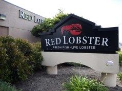 Red Lobster acaba de revivir su interminable oferta de camarones con un nuevo camarón Marry Me