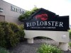 Red Lobster acaba de revivir su interminable oferta de camarones con un nuevo camarón Marry Me