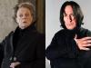 El programa de televisión Harry Potter HBO se encuentra con su McGonagall y Snape