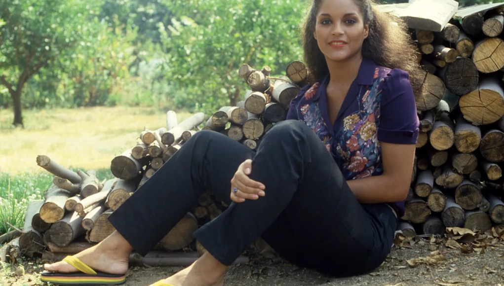 El patrimonio neto de Jayne Kennedy se deriva de cómo redefinió a las mujeres en los medios deportivos El patrimonio neto de Jayne Kennedy se deriva de cómo redefinió a las mujeres en los medios deportivos