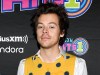 Harry Styles fue visto besando a una mujer misteriosa que, según los informes, es tan «diferente» de sus otras llamas