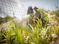 Qué puedes hacer para promover la conservación y la acción climática