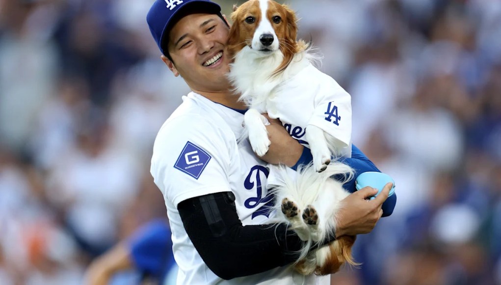 Shohei Ohtani para publicar el libro infantil sobre su señuelo de perros Shohei Ohtani para publicar el libro infantil sobre su señuelo de perros