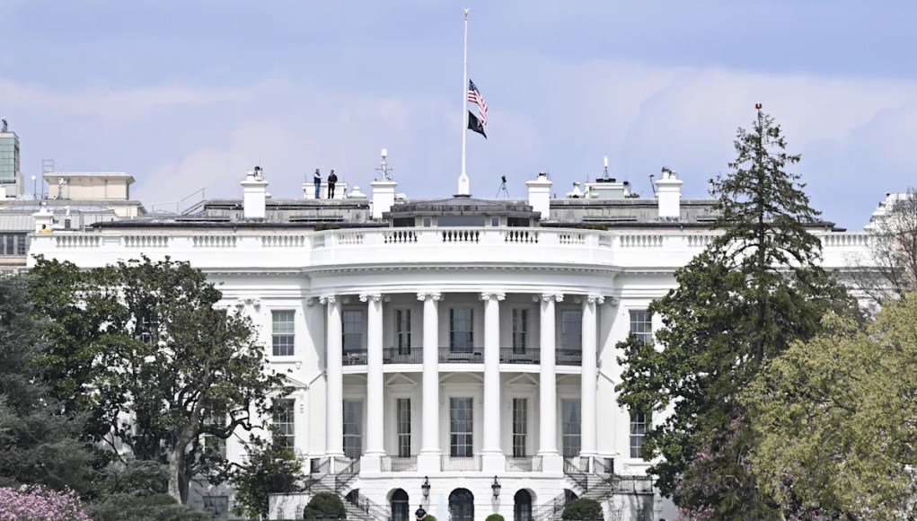 UFC gastará $ 700,000 reemplazando el césped de la Casa Blanca UFC gastará $ 700,000 reemplazando el césped de la Casa Blanca