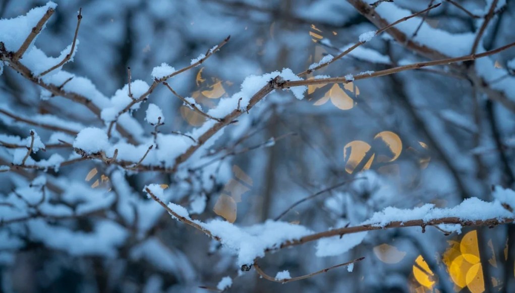 Más nieve, aire más frío. Consulta el radar, avisos meteorológicos para Michigan Más nieve, aire más frío. Consulta el radar, avisos meteorológicos para Michigan