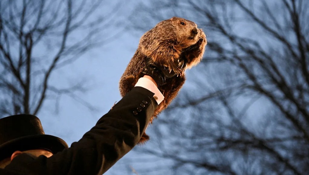 ¿Cuándo es el Día de la Marmota en 2026? Esto es lo que debe saber sobre la tradición. ¿Cuándo es el Día de la Marmota en 2026? Esto es lo que debe saber sobre la tradición.