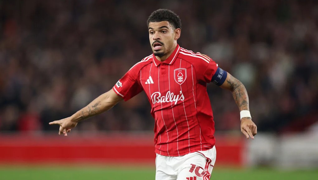 Nottingham Forest XI vs Newcastle United – Alineación prevista y noticias del equipo Nottingham Forest XI vs Newcastle United – Alineación prevista y noticias del equipo