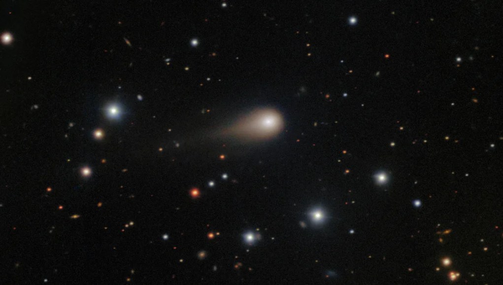 Un cometa interestelar alcanzará su punto más cercano al sol esta semana. No te preocupes, ni siquiera se acercará a la Tierra. Un cometa interestelar alcanzará su punto más cercano al sol esta semana. No te preocupes, ni siquiera se acercará a la Tierra.