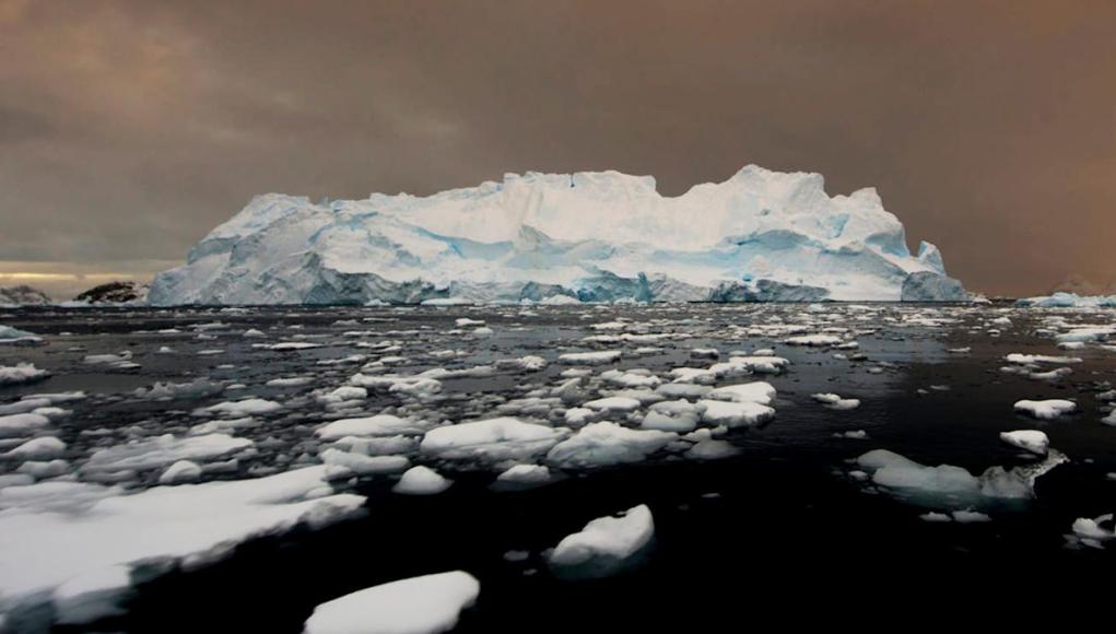 ‘Incluso descubrimos una escuela de criaturas de langosta’ ‘Incluso descubrimos una escuela de criaturas de langosta’