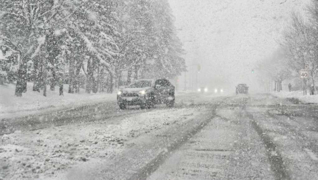 Se esperan hasta 14 pulgadas de nieve y viajes peligrosos en Nuevo México Se esperan hasta 14 pulgadas de nieve y viajes peligrosos en Nuevo México
