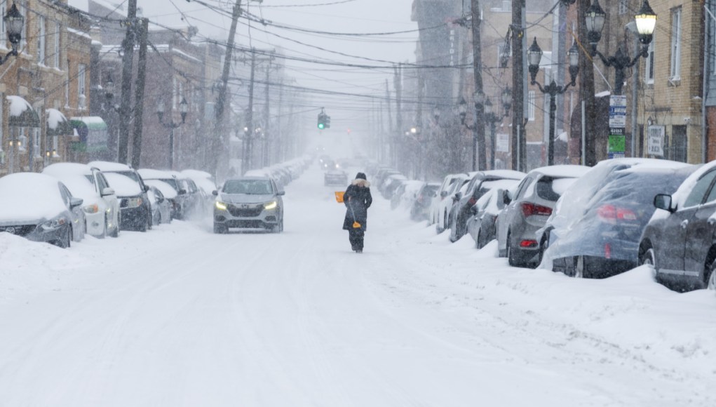 Se anuncian nuevas advertencias de tormenta invernal para 10 estados a medida que se acercan 11 pulgadas de nieve y vientos de 40 mph Se anuncian nuevas advertencias de tormenta invernal para 10 estados a medida que se acercan 11 pulgadas de nieve y vientos de 40 mph