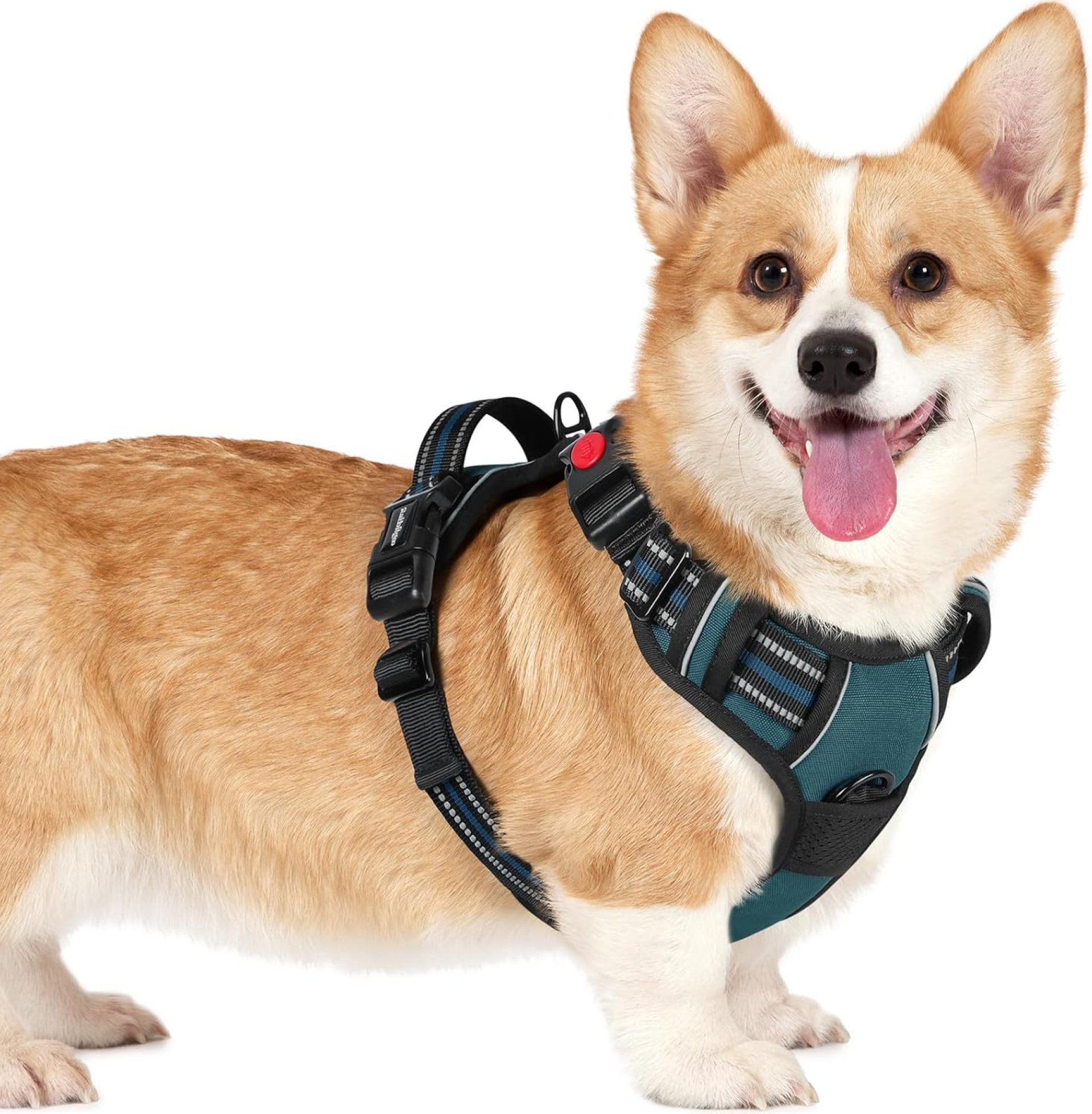 rabbitgoo Dog Harness Small Sized, No Pull Pet Harness with 3 Buckles, Adjustable Soft Padded Pooch Vest with Instant Control Handle, Easy Walking Reflective Pet Vest for Small Dogs, Blue Coral, S rabbitgoo Dog Harness Small Sized, No Pull Pet Harness with 3 Buckles, Adjustable Soft Padded Pooch Vest with Instant Control Handle, Easy Walking Reflective Pet Vest for Small Dogs, Blue Coral, S