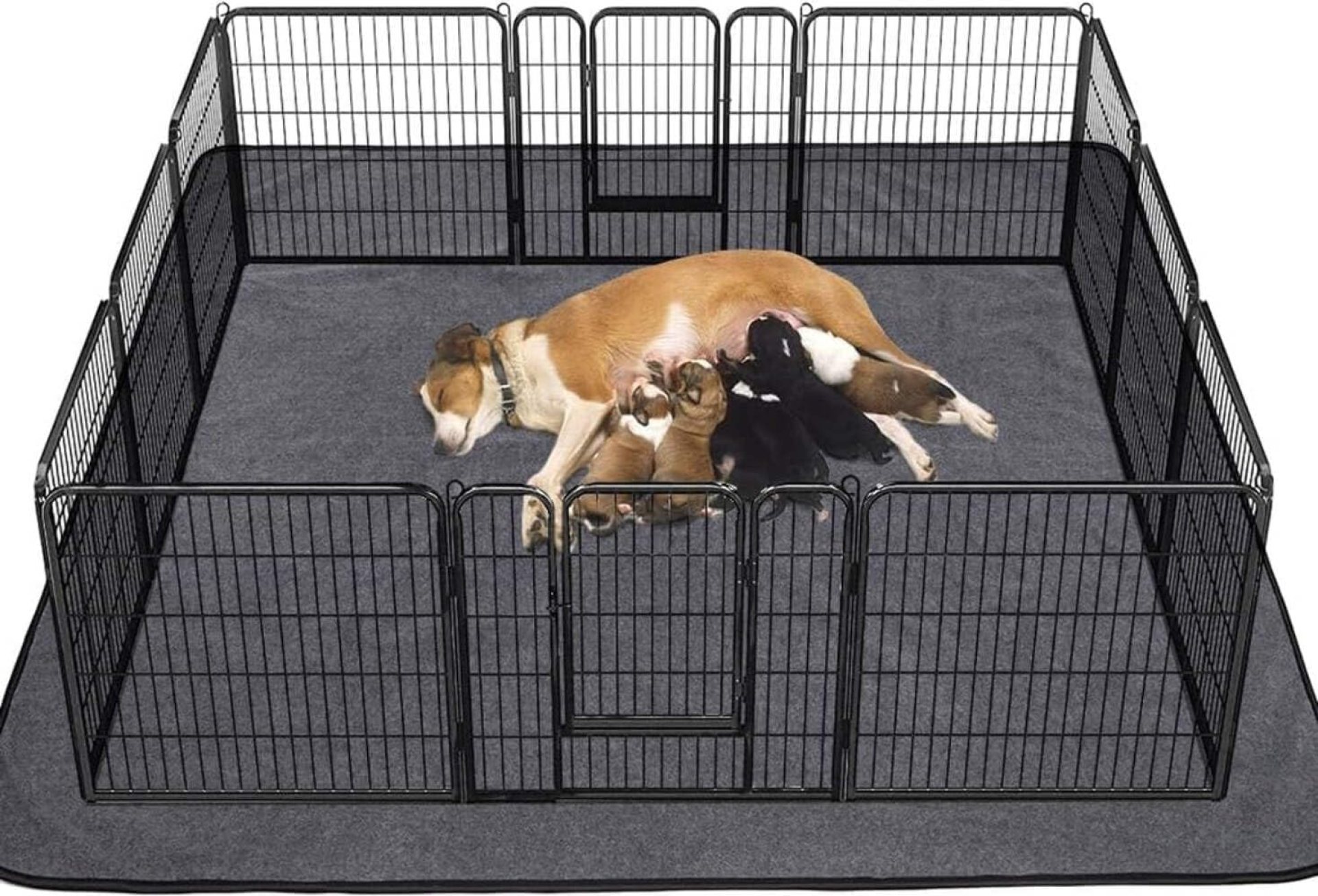 Washable Pee Pads for Dogs, Extra Large Reusable Dog Pee Pad, Waterproof Pet Mat, Dog Playpen Mats for Puppy Training Whelping Playpen Pads Washable Pee Pads for Dogs, Extra Large Reusable Dog Pee Pad, Waterproof Pet Mat, Dog Playpen Mats for Puppy Training Whelping Playpen Pads