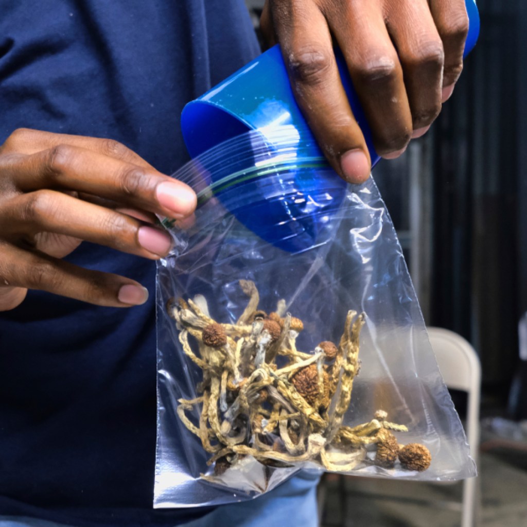 Officers seize 20 pounds of magic mushrooms in 30 days at Canadian border Officers seize 20 pounds of magic mushrooms in 30 days at Canadian border