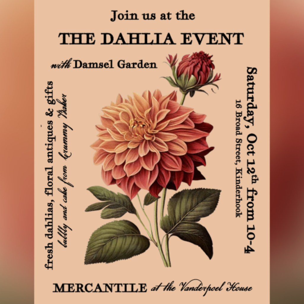 Kinderhook event celebrating dahlias in bloom Kinderhook event celebrating dahlias in bloom