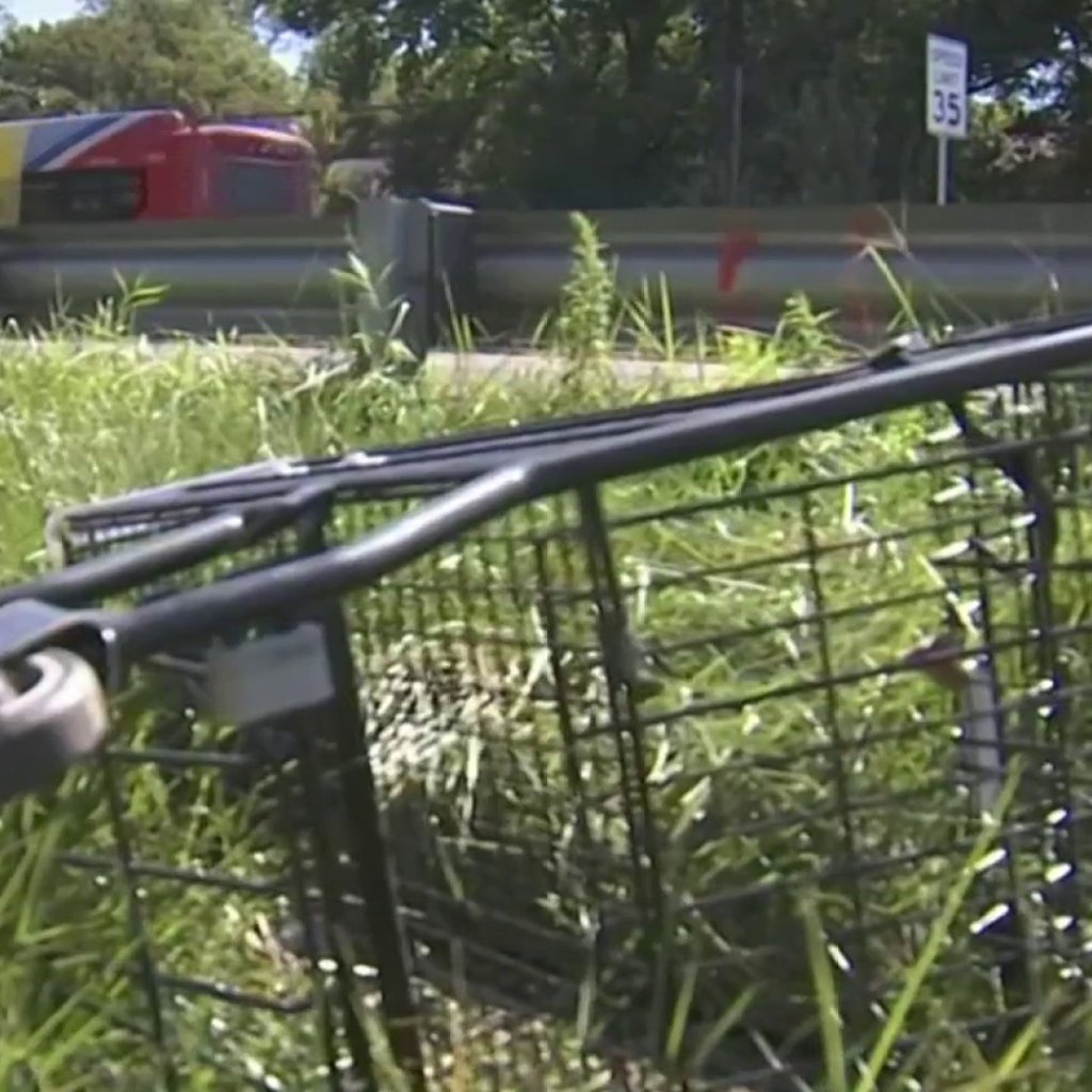 Prince George’s County proposes fix for shopping cart problem – NBC4 Washington Prince George’s County proposes fix for shopping cart problem – NBC4 Washington