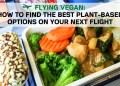 Flying Vegan: How to Find the Best Plant-Based Options on Your Next Flight Flying Vegan: How to Find the Best Plant-Based Options on Your Next Flight